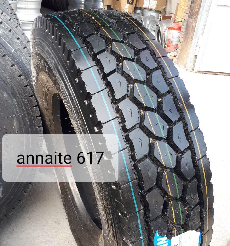 Annaite 617