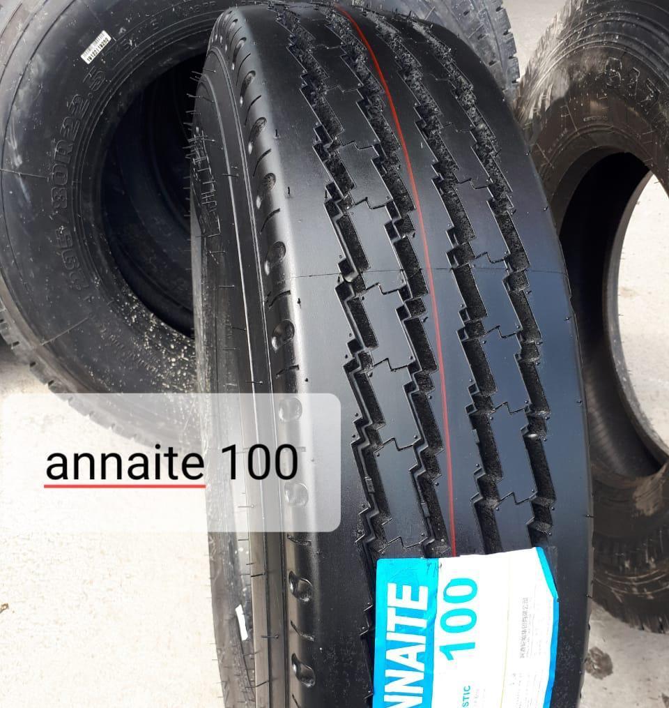 Annaite 100